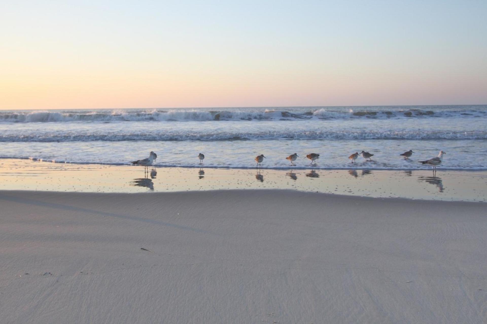 Ocean Pearl Isle of Palms Exterior foto